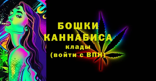 соль ск Богданович