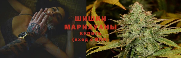 соль ск Богданович