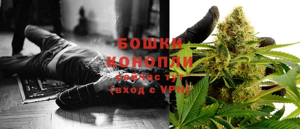 соль ск Богданович